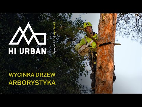 HI URBAN - Wycinka drzew Gdynia, Gdańsk, Sopot