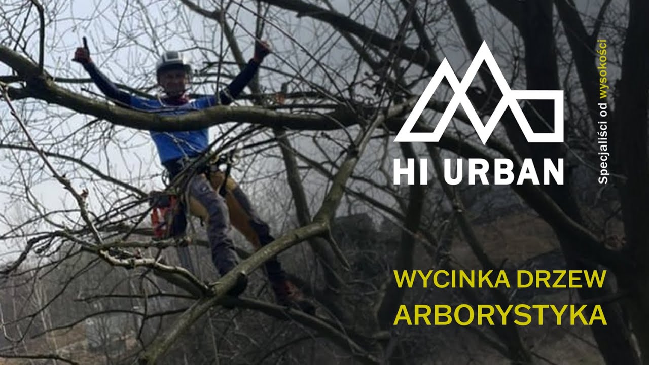 HI URBAN - Wycinka drzew - Arborystyka